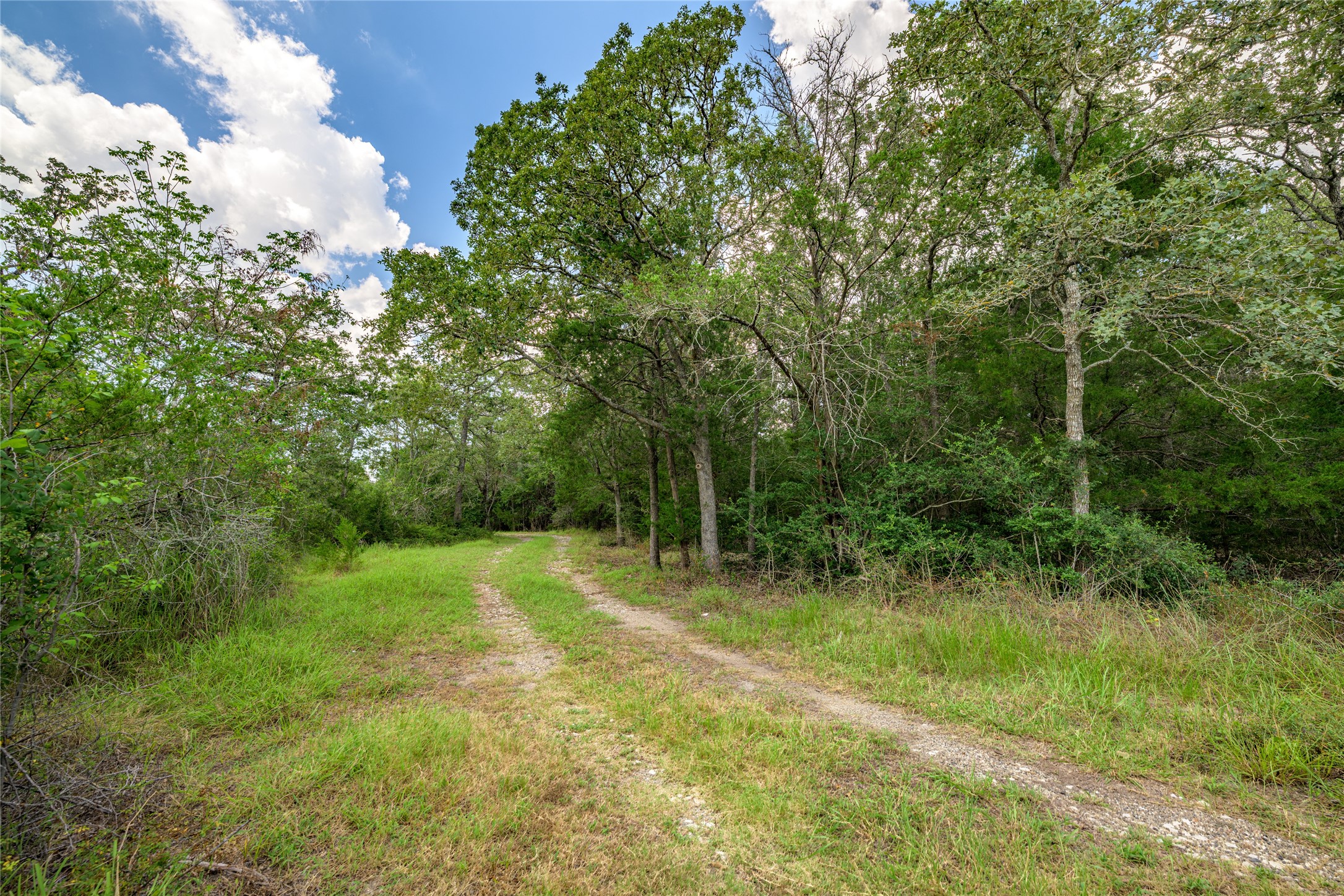 4900 Andreas Road Round Top, TX 78954 - Photo 5 of 20 a view of outdoor space and yard