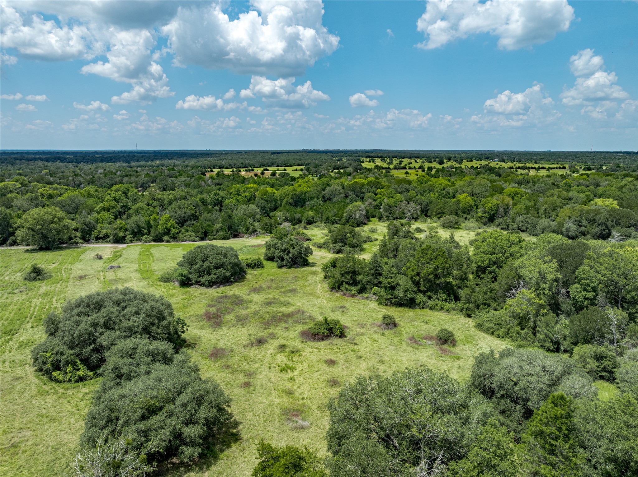 4900 Andreas Road Round Top, TX 78954 - Photo 6 of 20 a view of a yard with a tree