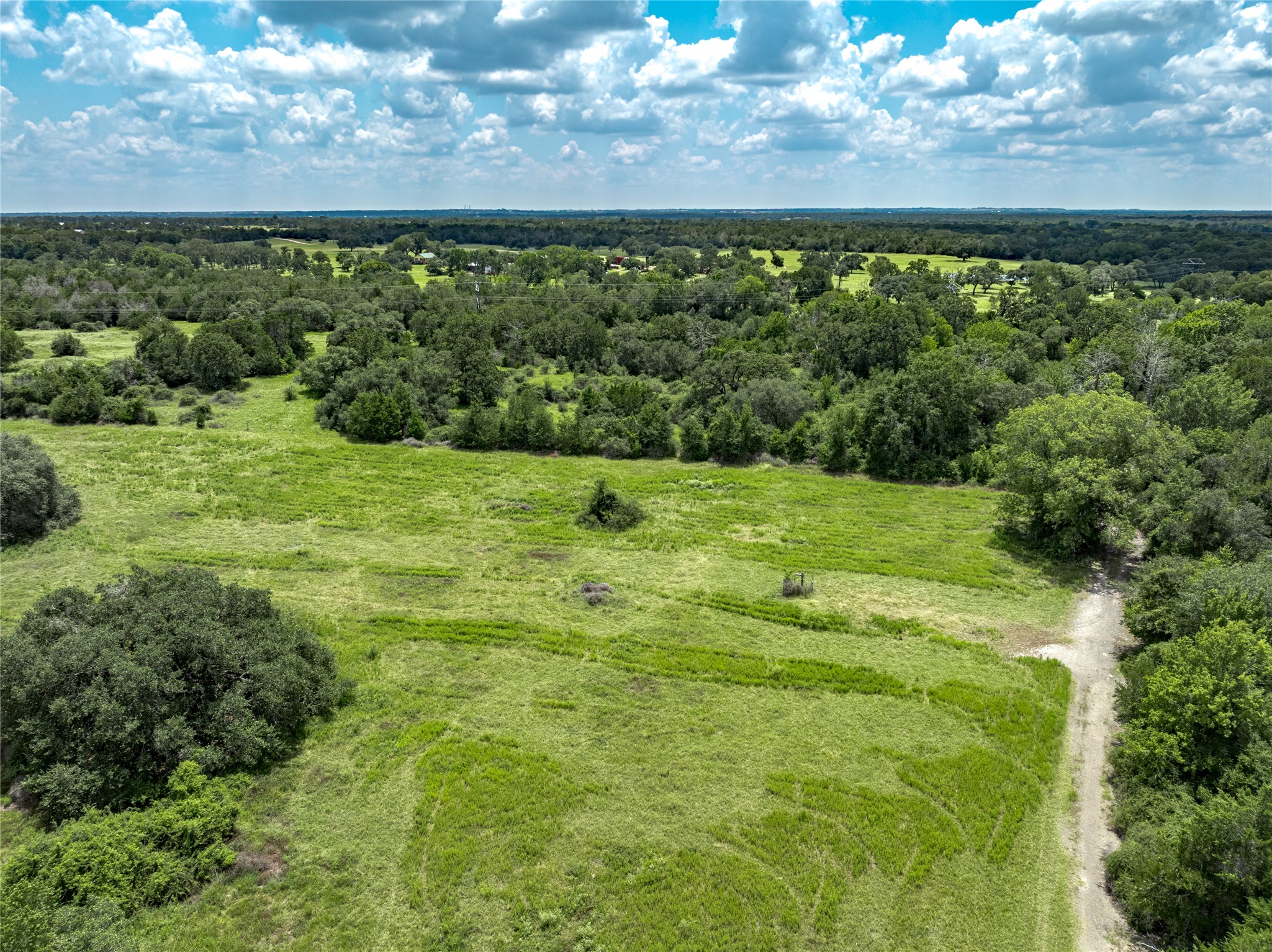 4900 Andreas Road Round Top, TX 78954 - Photo 7 of 20 a view of a green yard next to a yard