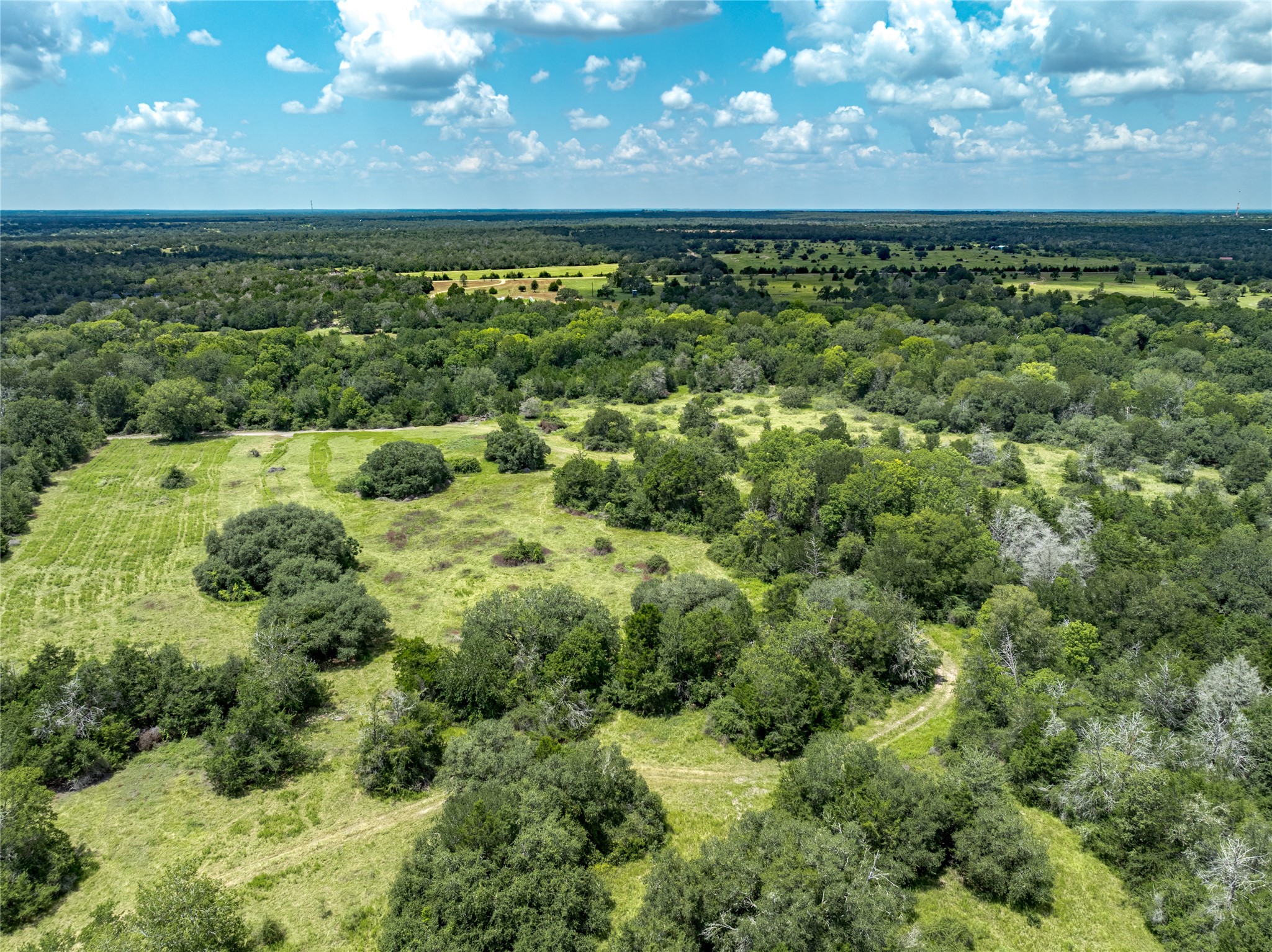 4900 Andreas Road Round Top, TX 78954 - Photo 8 of 20 a view of a yard with an outdoor seating