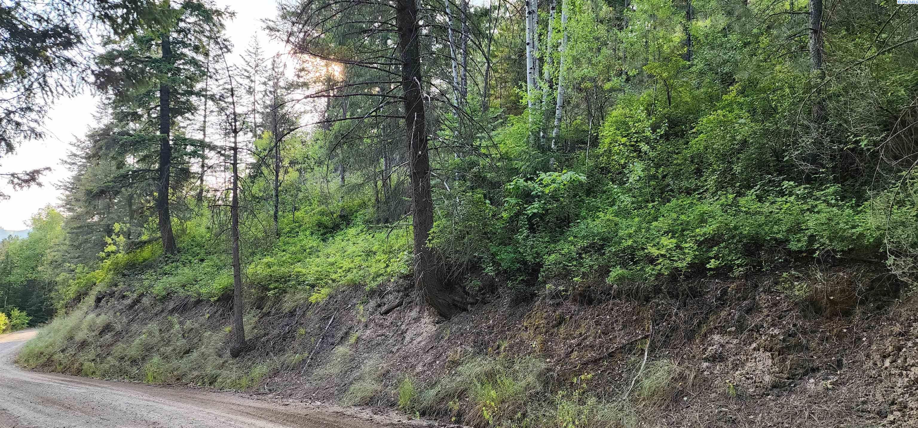1555 Comstock Mine Road Colville, WA 99114 - Photo 11 of 26 Gallery Image 11
