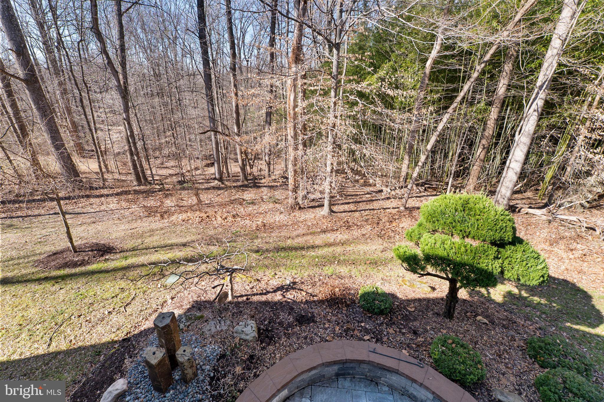 11760 Glen Mill Road Potomac, MD 20854 - Photo 54 of 64 a view of a yard with plants