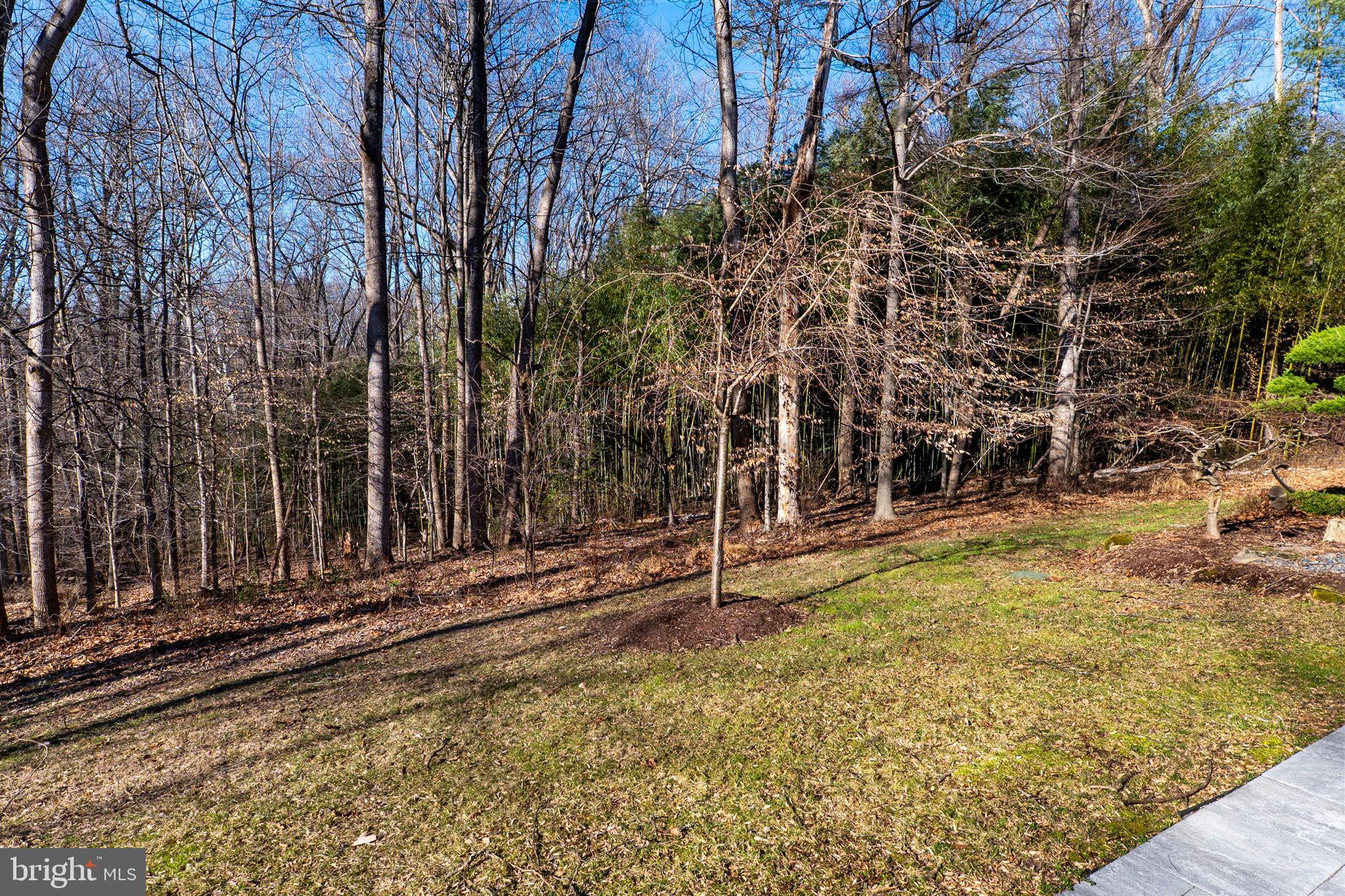 11760 Glen Mill Road Potomac, MD 20854 - Photo 55 of 64 a view of a backyard of the house