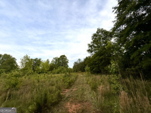 0 Camak School Road Warrenton, GA 30821 - Photo 13 of 68