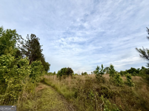 0 Camak School Road Warrenton, GA 30821 - Photo 14 of 68