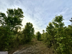 0 Camak School Road Warrenton, GA 30821 - Photo 17 of 68