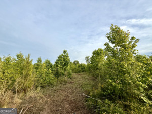 0 Camak School Road Warrenton, GA 30821 - Photo 20 of 68