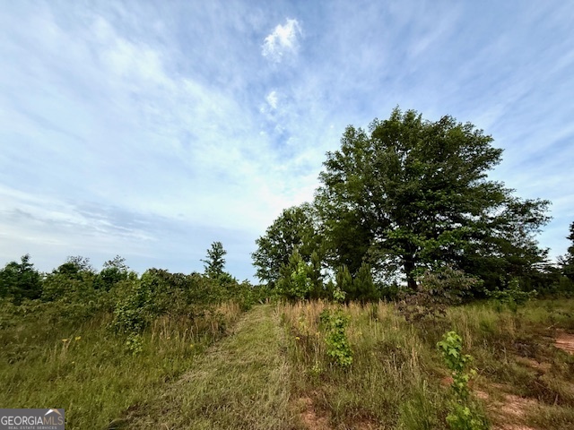 0 Camak School Road Warrenton, GA 30821 - Photo 2 of 68