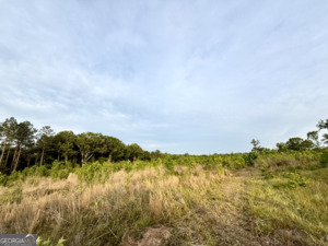0 Camak School Road Warrenton, GA 30821 - Photo 22 of 68