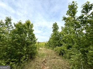 0 Camak School Road Warrenton, GA 30821 - Photo 23 of 68