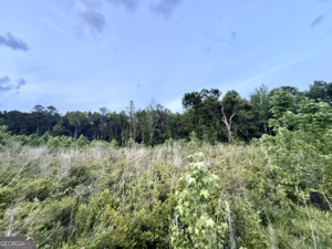 0 Camak School Road Warrenton, GA 30821 - Photo 26 of 68