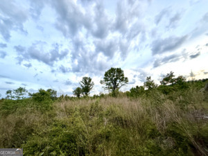 0 Camak School Road Warrenton, GA 30821 - Photo 29 of 68