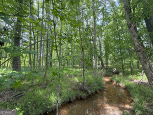 0 Camak School Road Warrenton, GA 30821 - Photo 32 of 68