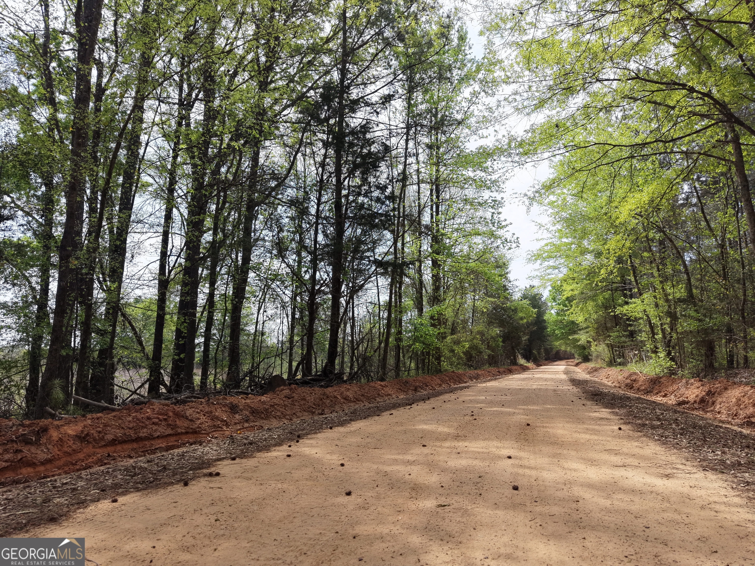 0 Camak School Road Warrenton, GA 30821 - Photo 36 of 68