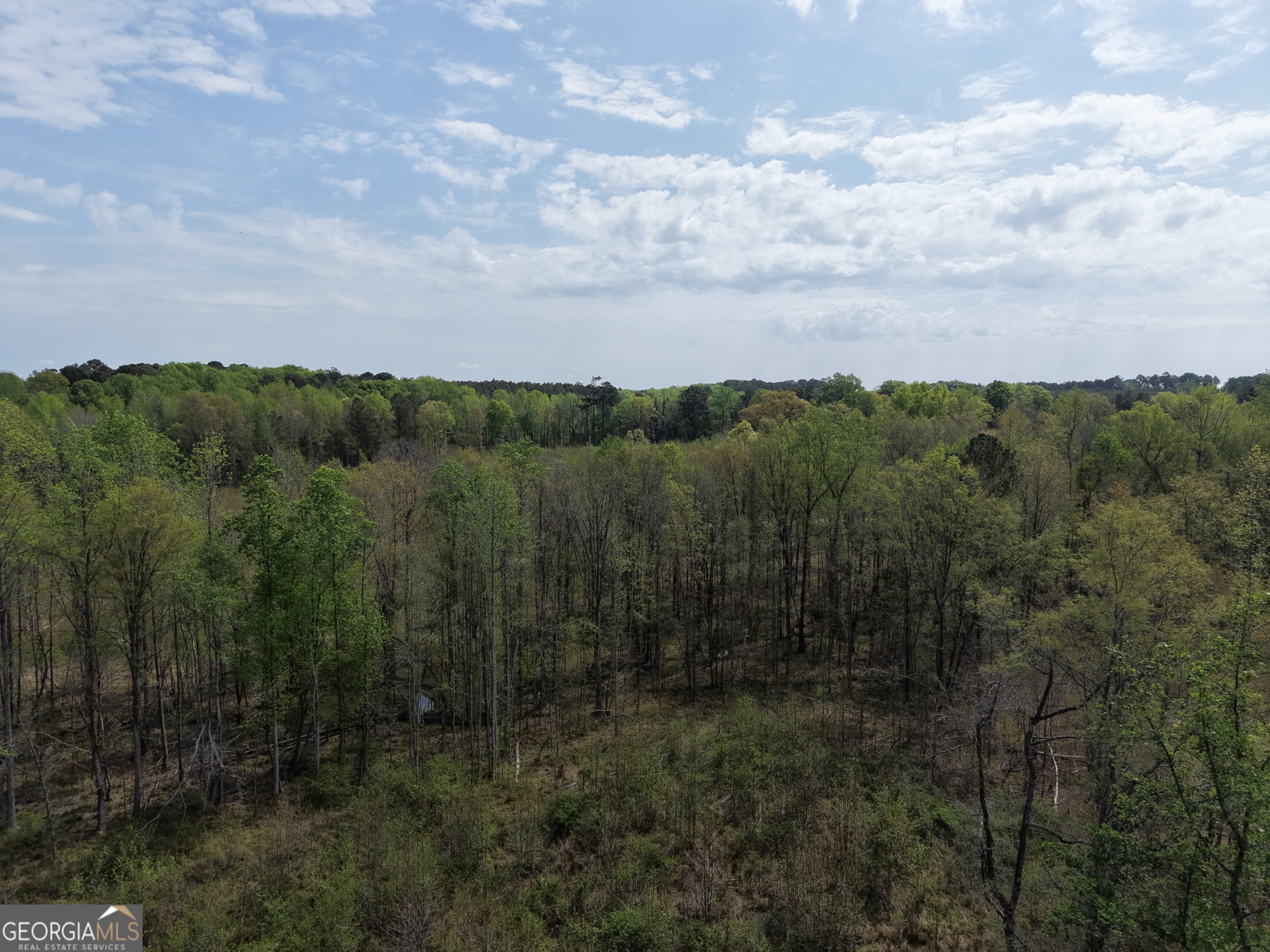 0 Camak School Road Warrenton, GA 30821 - Photo 37 of 68