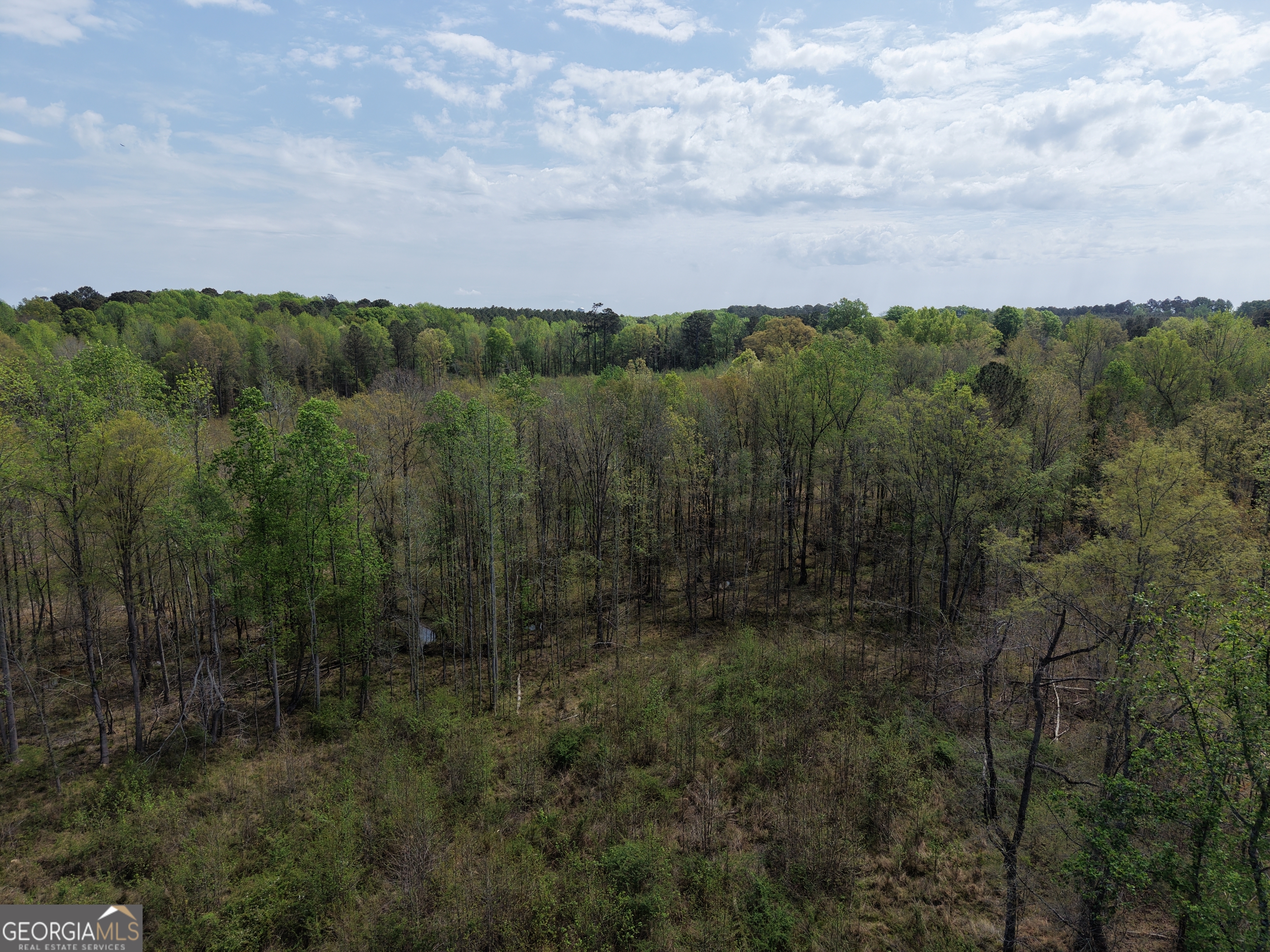 0 Camak School Road Warrenton, GA 30821 - Photo 38 of 68