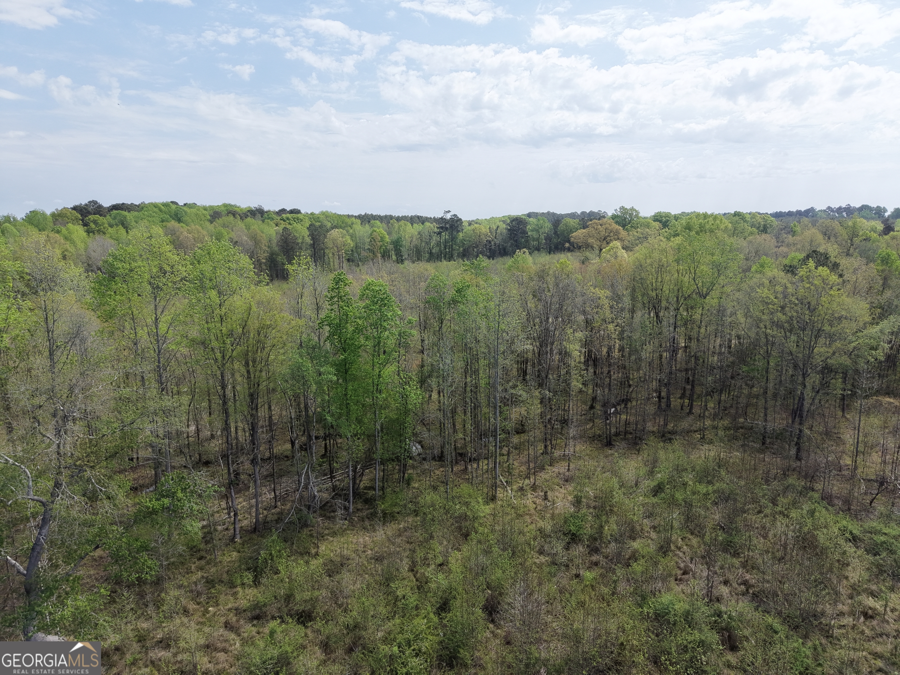 0 Camak School Road Warrenton, GA 30821 - Photo 39 of 68