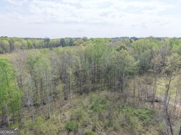 $299,500 | 0 Camak School Road, Warrenton, GA 30821