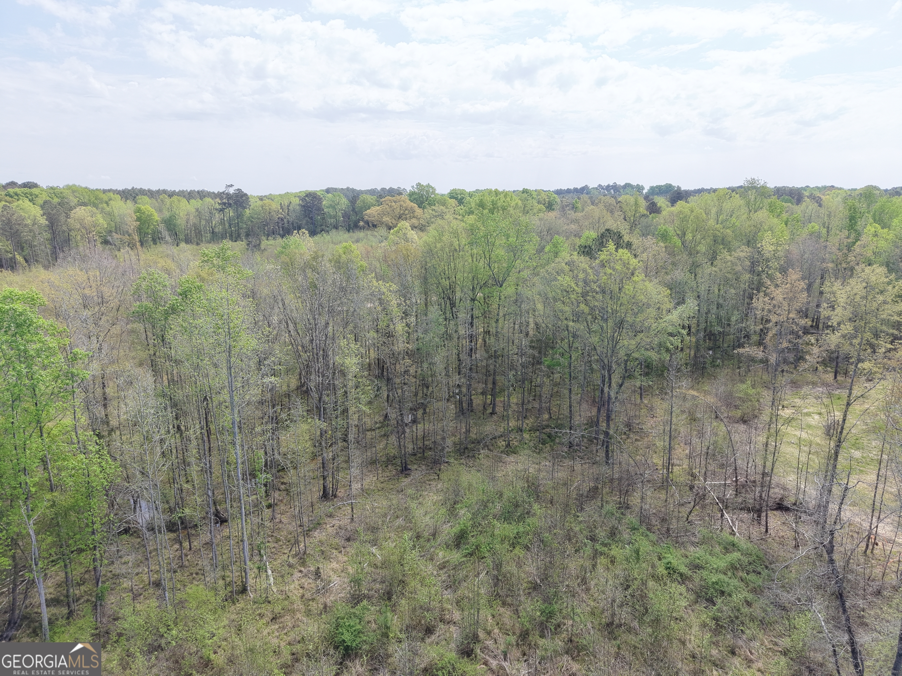 0 Camak School Road Warrenton, GA 30821 - Photo 41 of 68