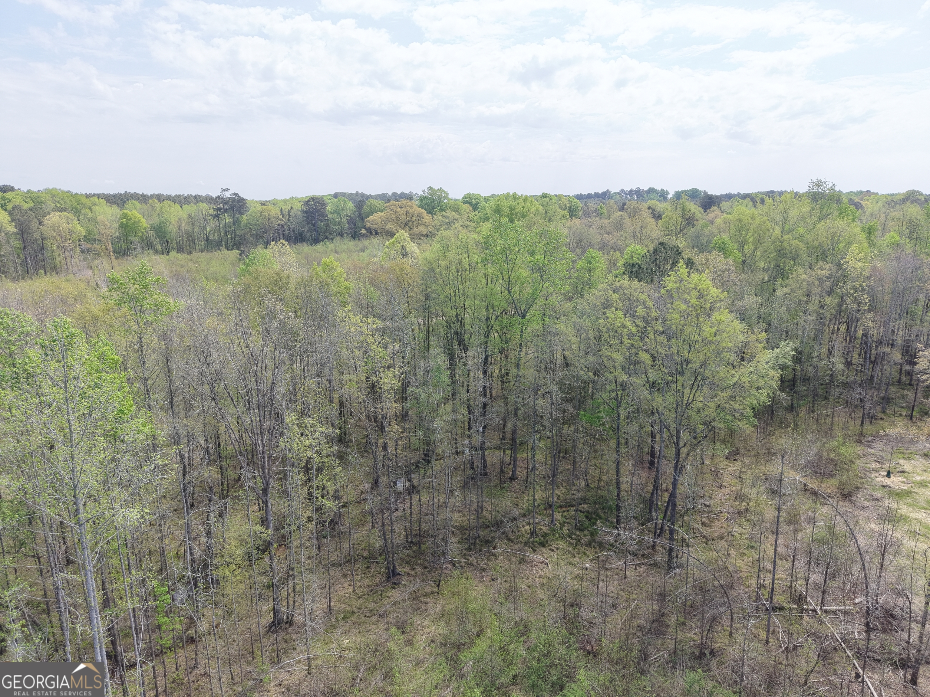 0 Camak School Road Warrenton, GA 30821 - Photo 42 of 68