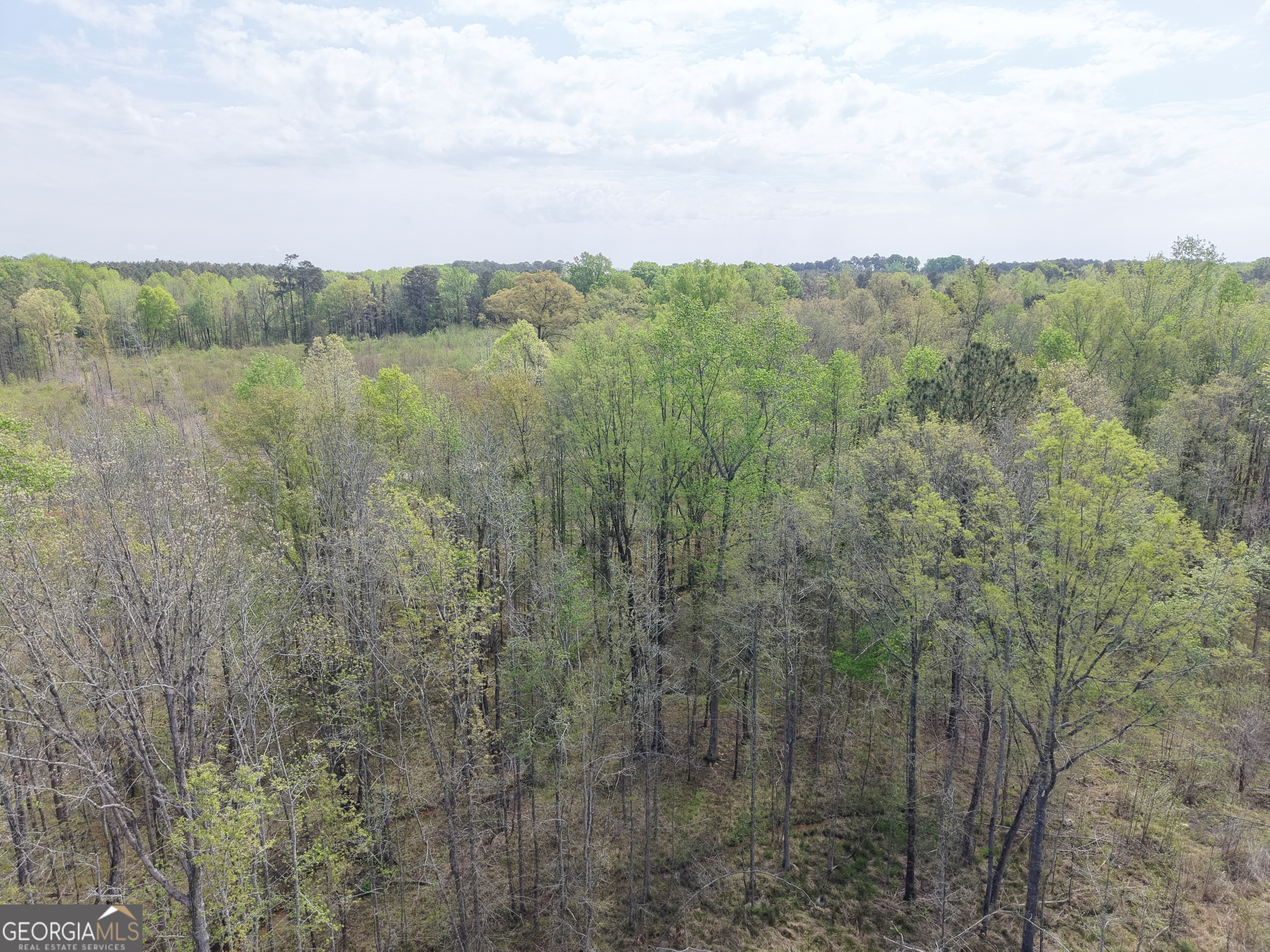 0 Camak School Road Warrenton, GA 30821 - Photo 43 of 68