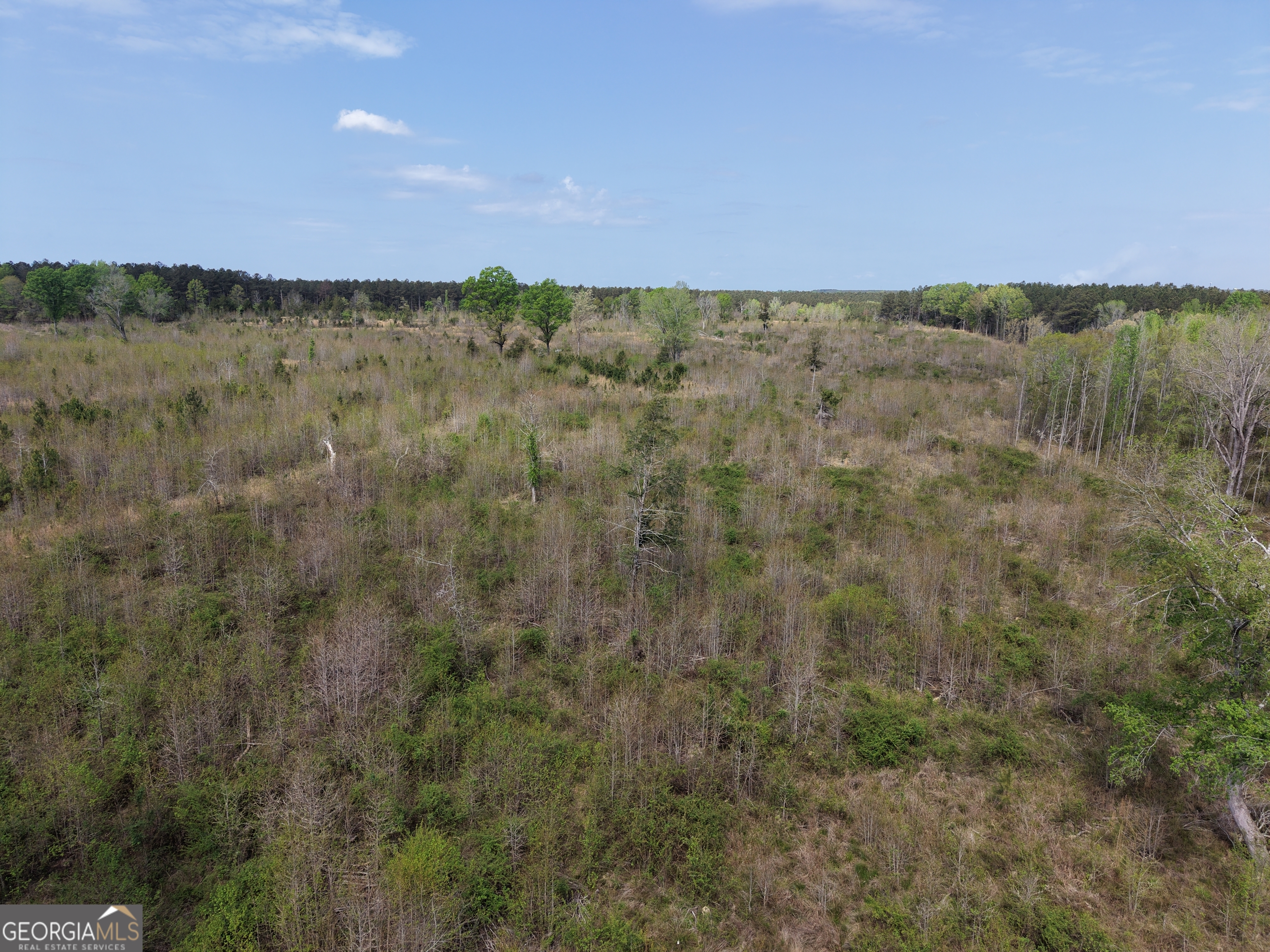 0 Camak School Road Warrenton, GA 30821 - Photo 44 of 68