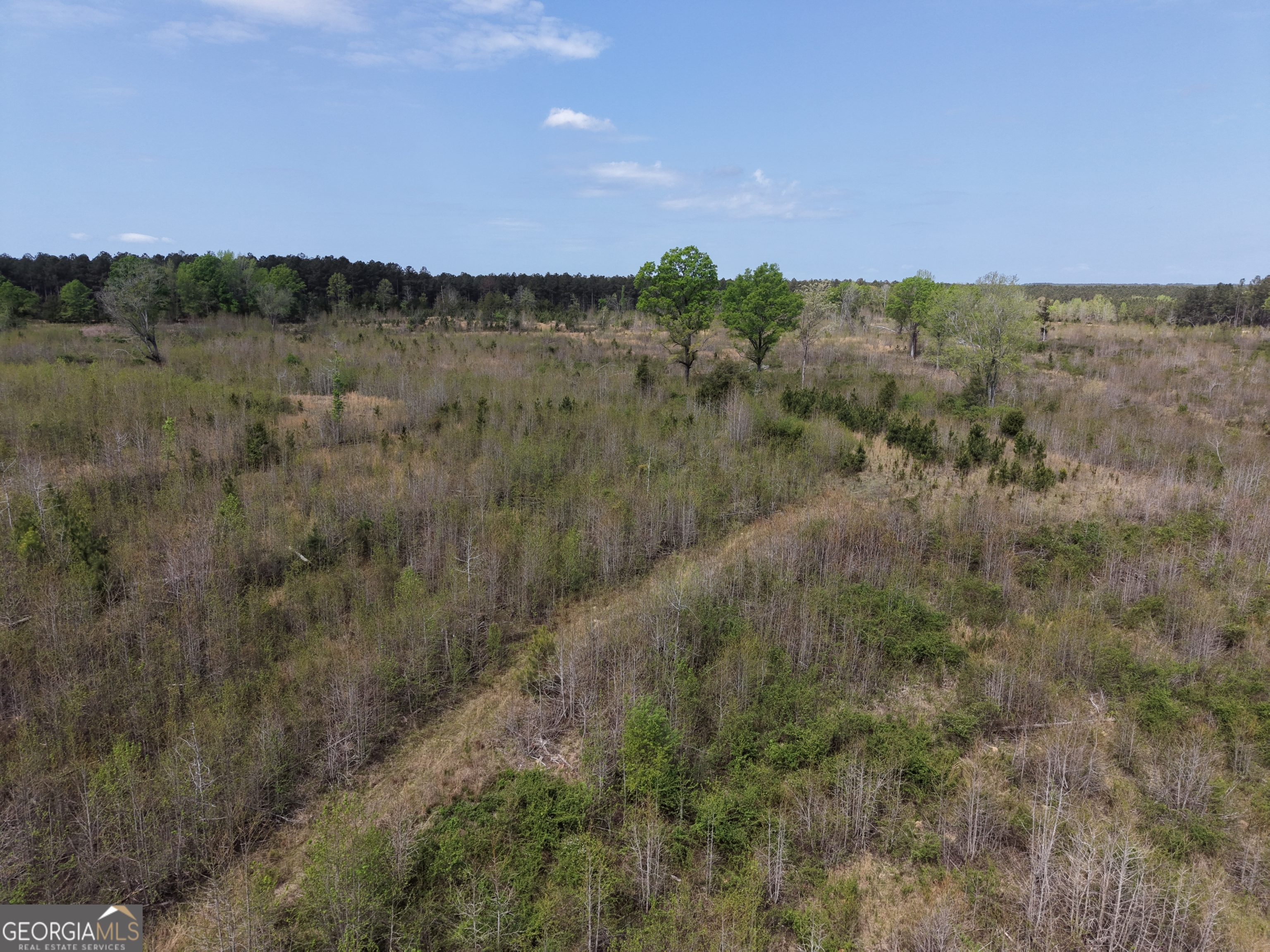 0 Camak School Road Warrenton, GA 30821 - Photo 45 of 68