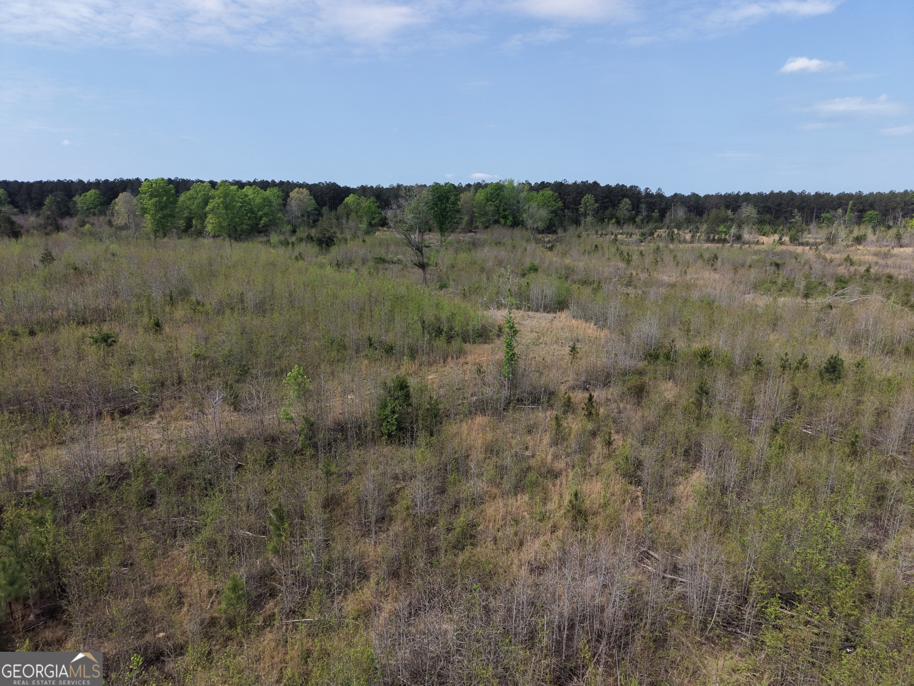 0 Camak School Road Warrenton, GA 30821 - Photo 46 of 68