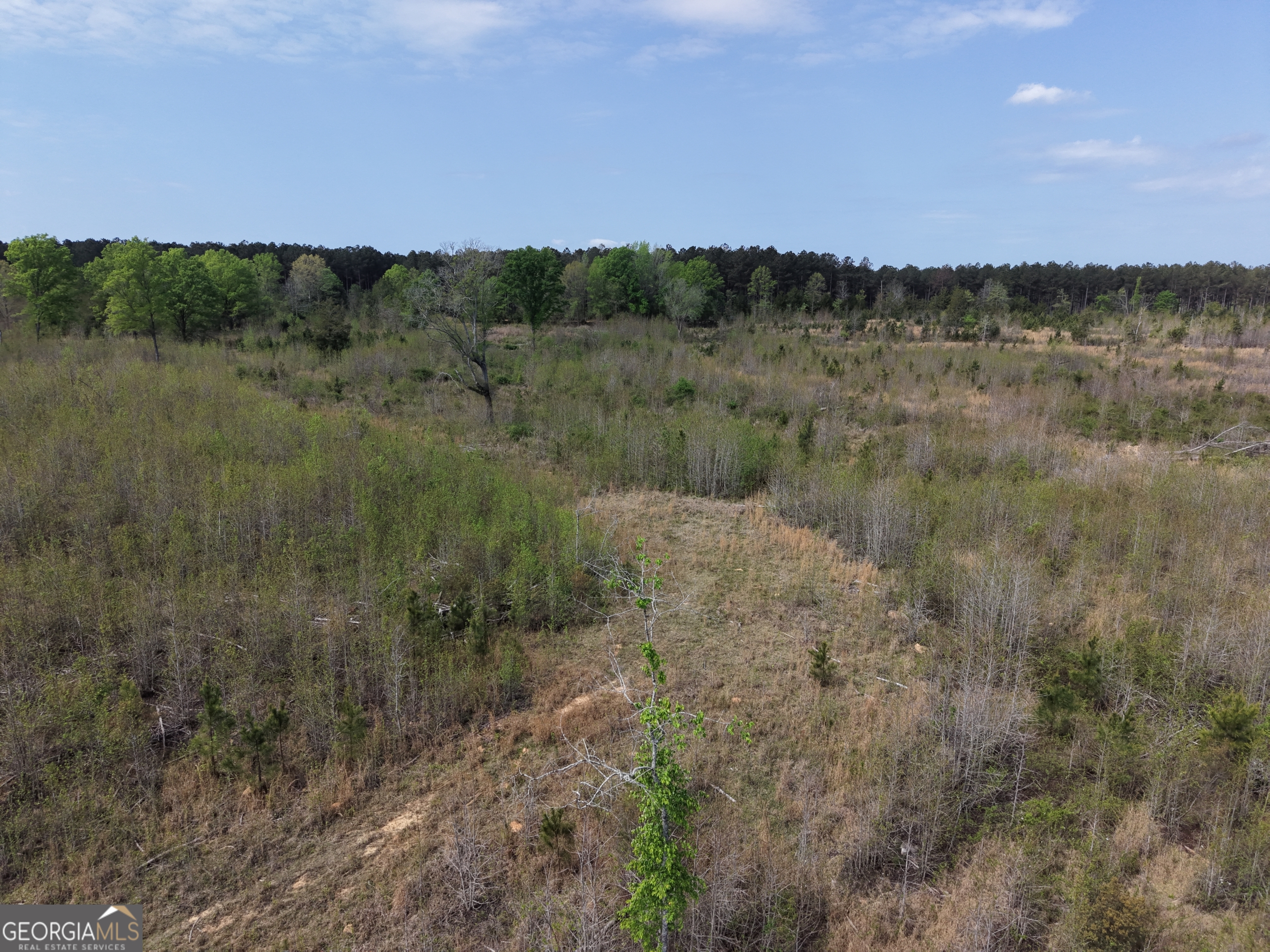 0 Camak School Road Warrenton, GA 30821 - Photo 47 of 68