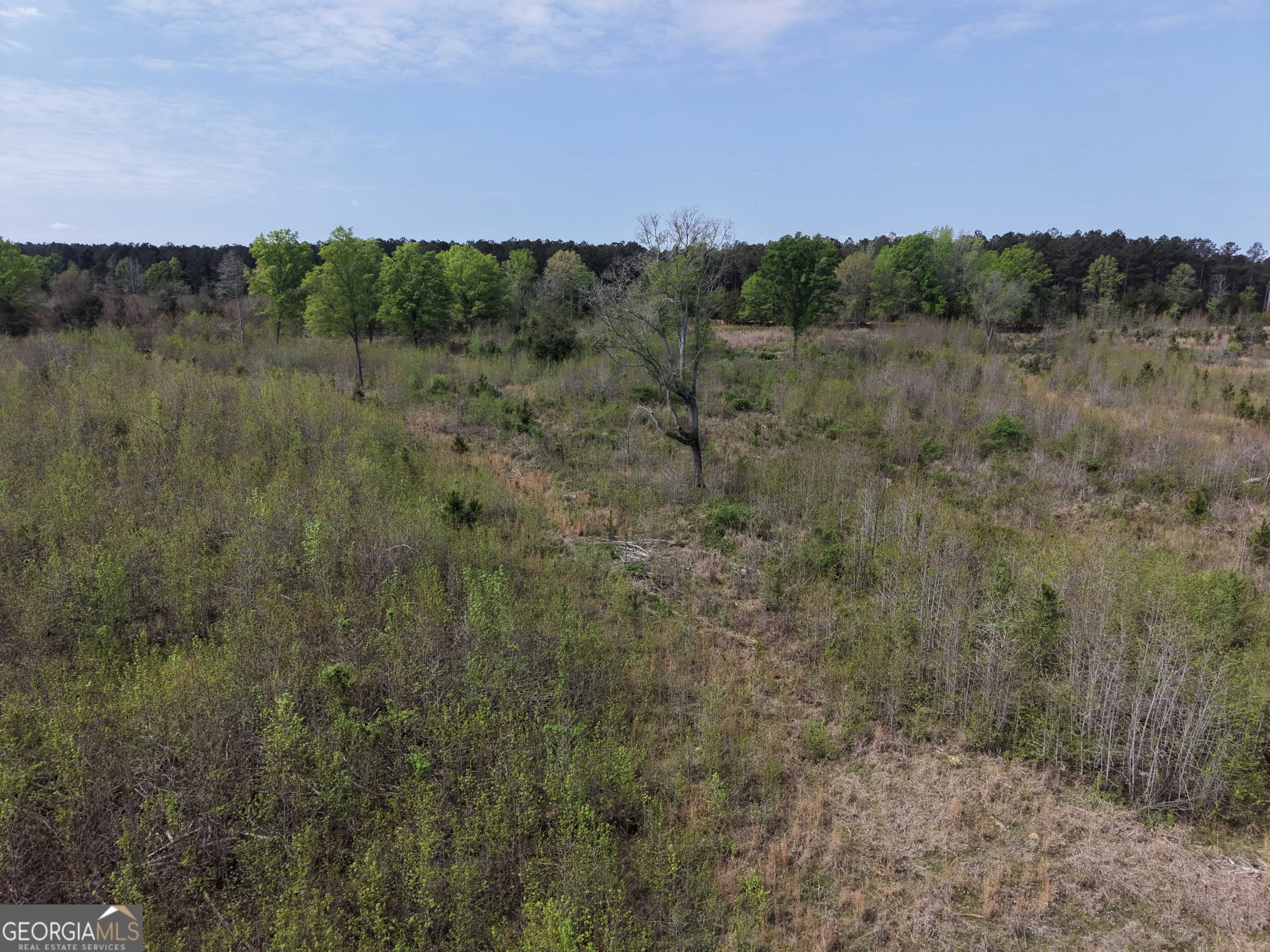 0 Camak School Road Warrenton, GA 30821 - Photo 49 of 68