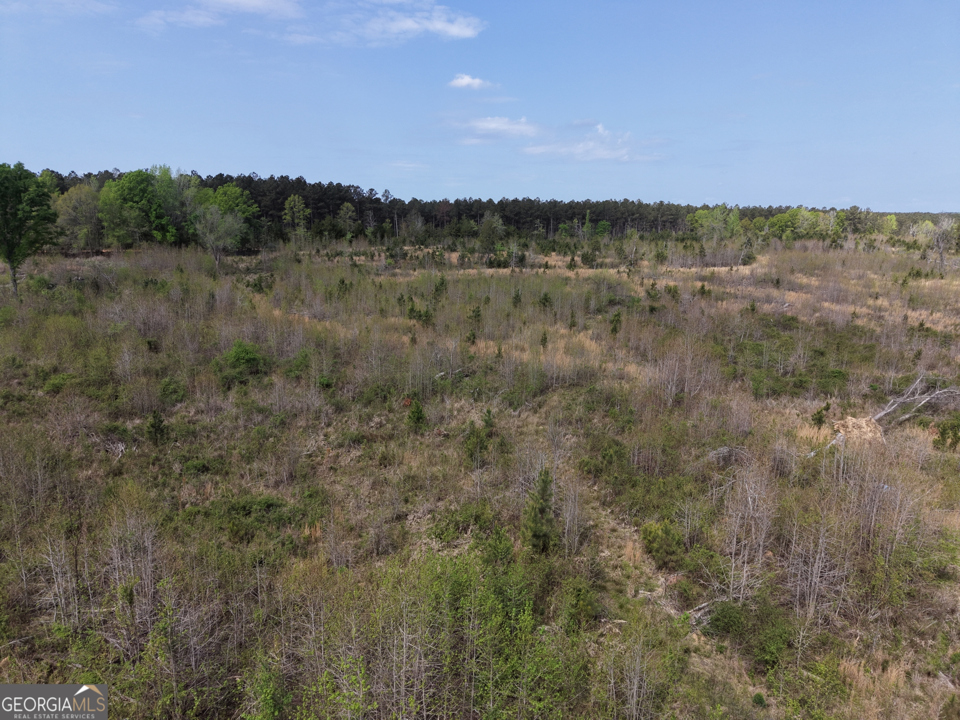 0 Camak School Road Warrenton, GA 30821 - Photo 50 of 68