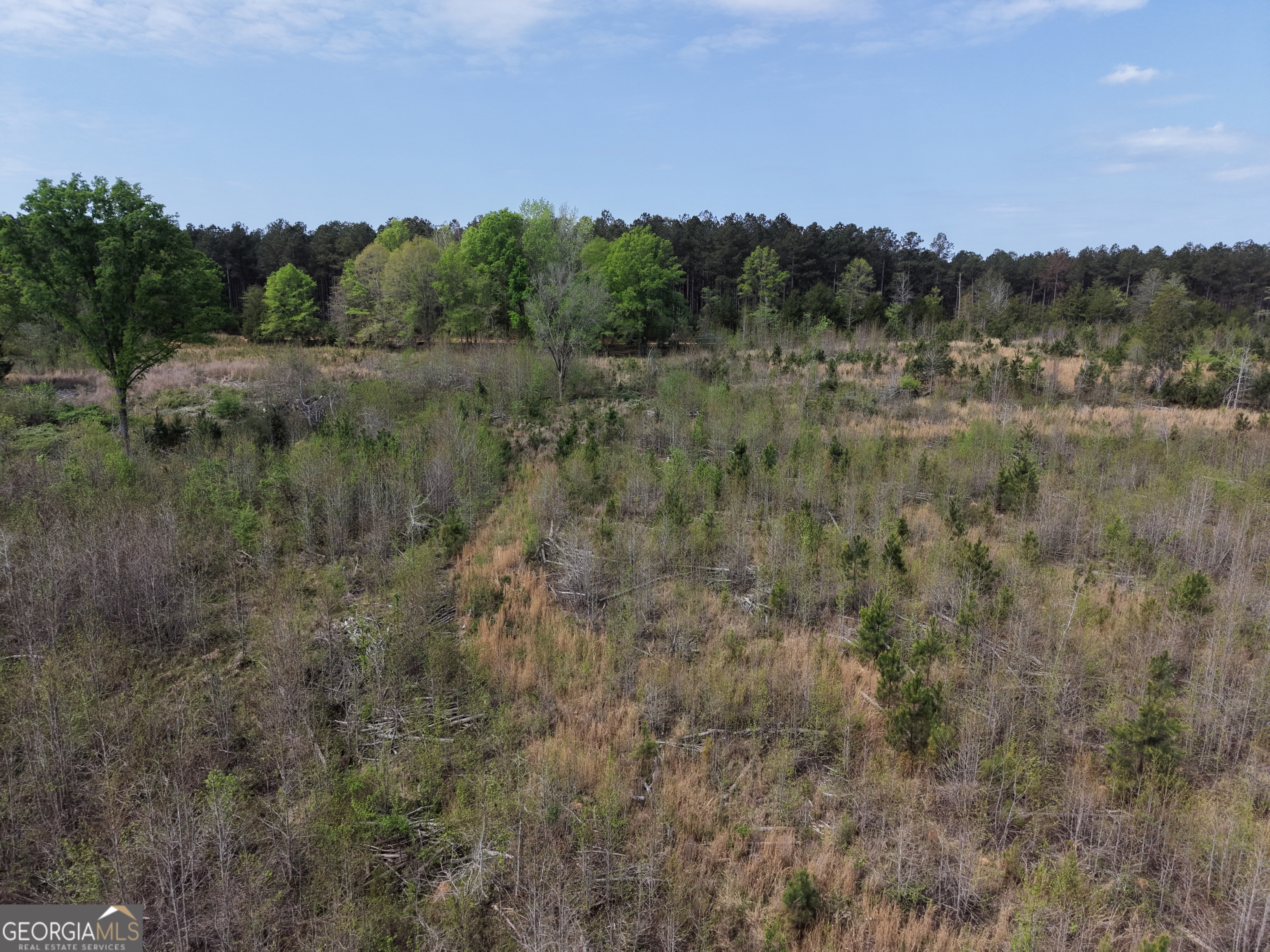 0 Camak School Road Warrenton, GA 30821 - Photo 51 of 68
