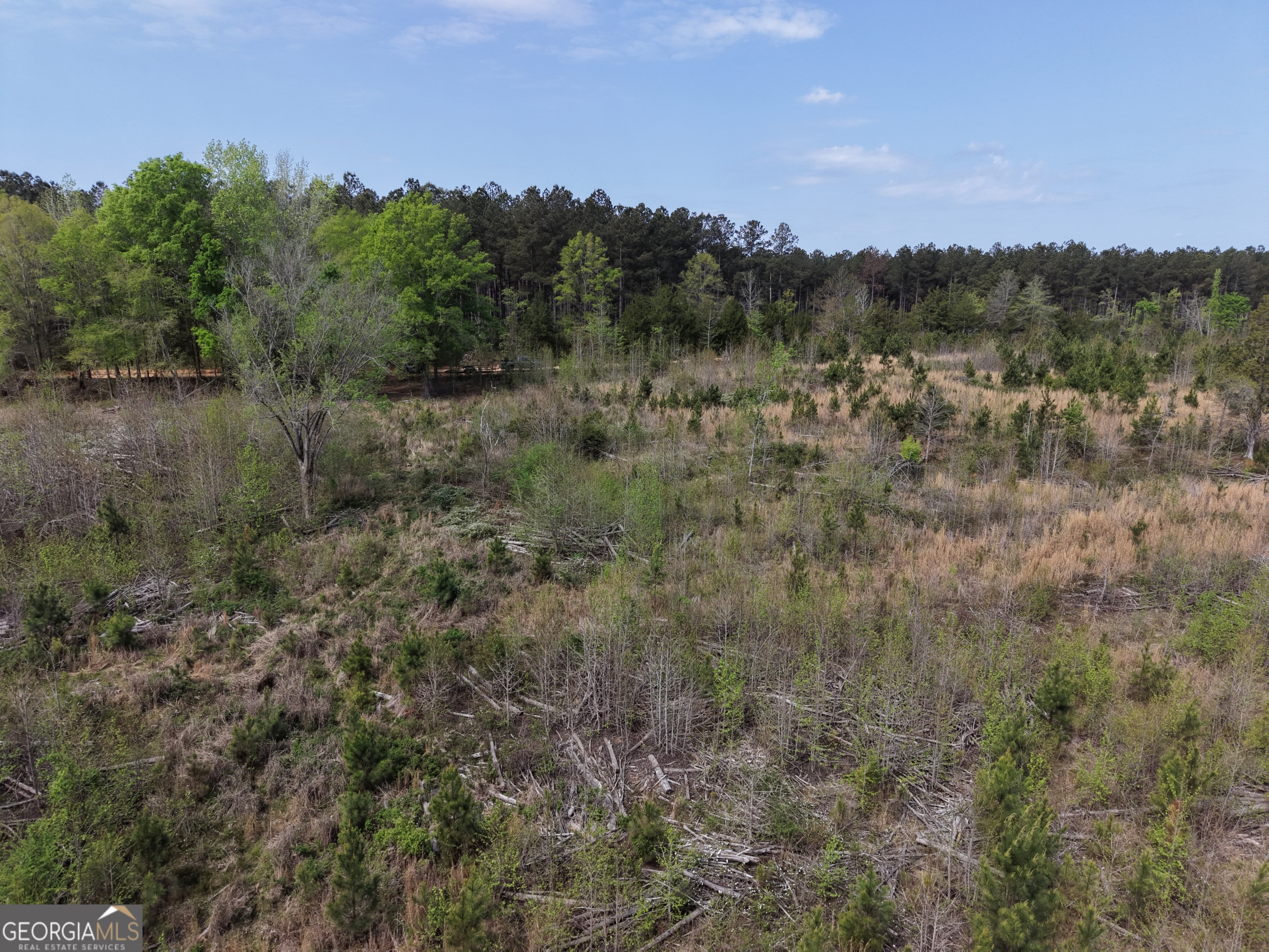 0 Camak School Road Warrenton, GA 30821 - Photo 53 of 68