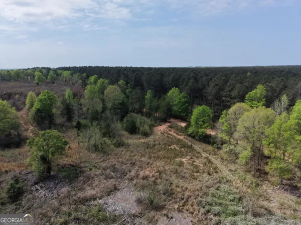 $299,500 | 0 Camak School Road, Warrenton, GA 30821