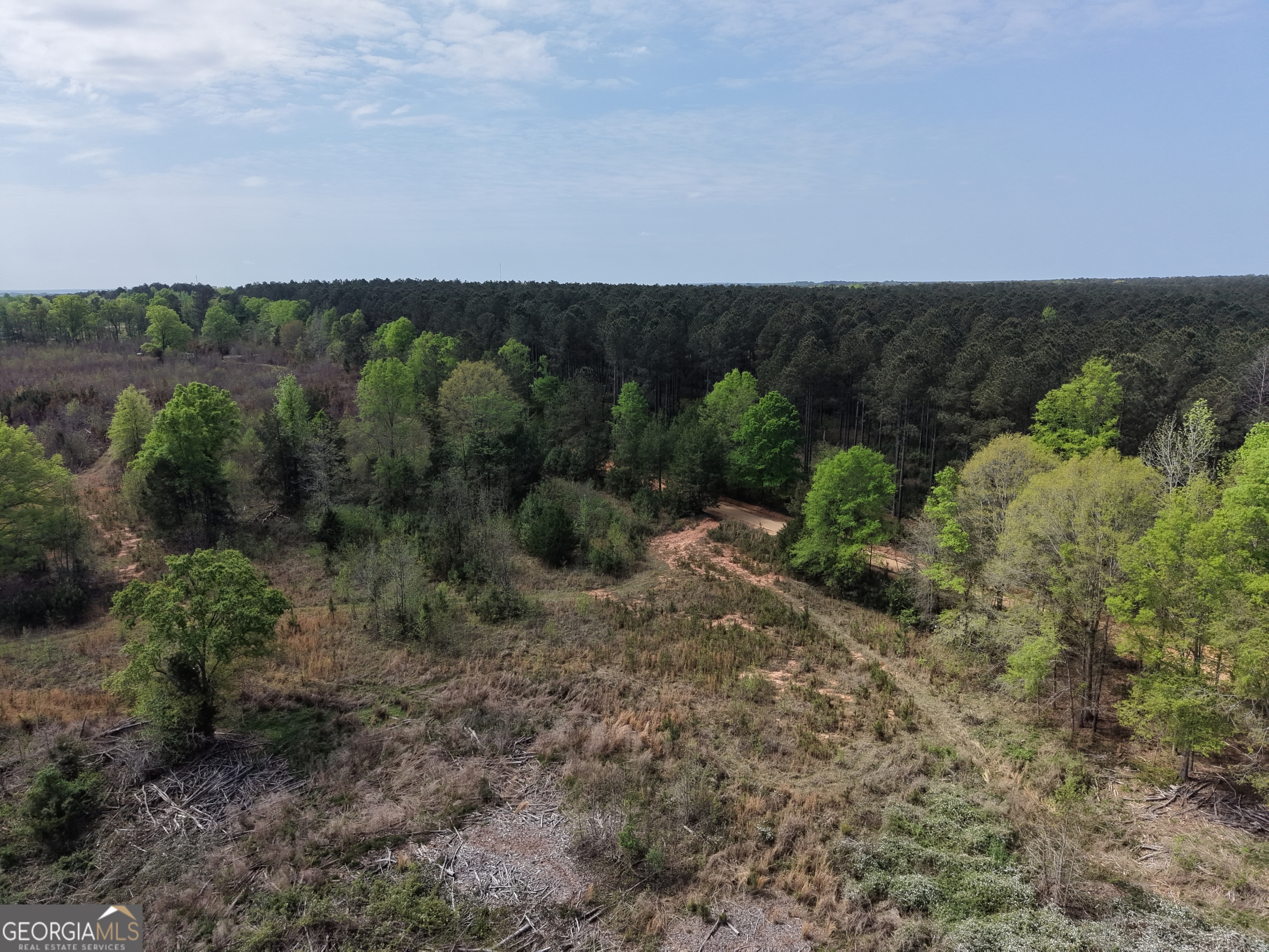 0 Camak School Road Warrenton, GA 30821 - Photo 54 of 68