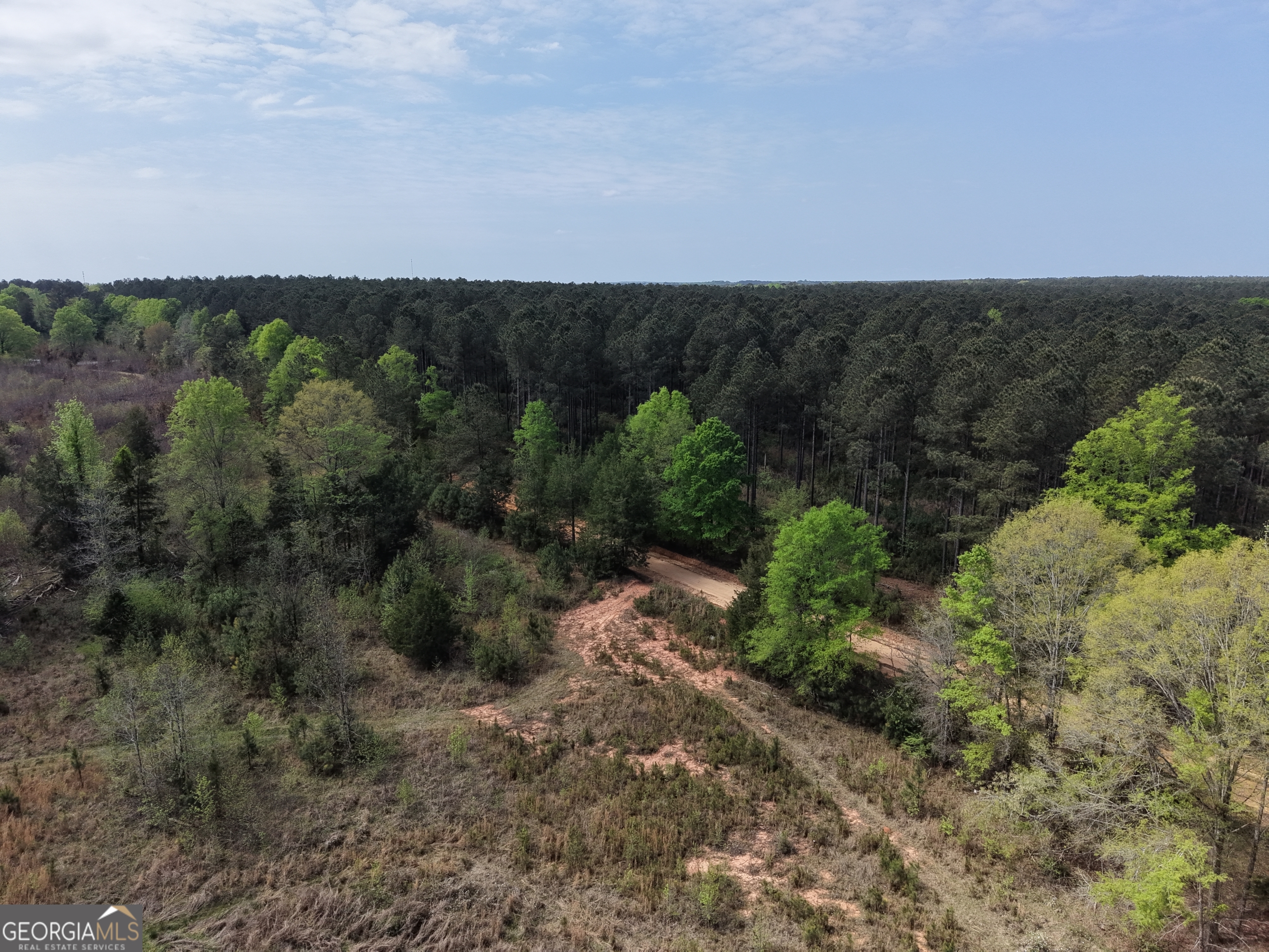 0 Camak School Road Warrenton, GA 30821 - Photo 55 of 68