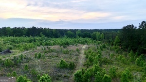0 Camak School Road Warrenton, GA 30821 - Photo 6 of 68