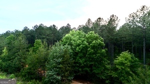 0 Camak School Road Warrenton, GA 30821 - Photo 7 of 68