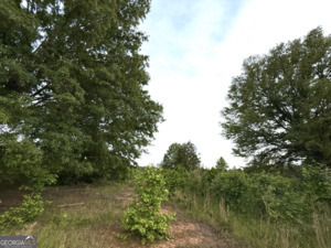 0 Camak School Road Warrenton, GA 30821 - Photo 8 of 68