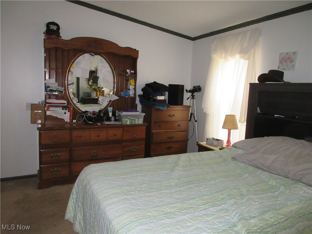 5372 Slater Road Williamsfield, OH 44093 - Photo 14 of 18 Gallery Image 14
