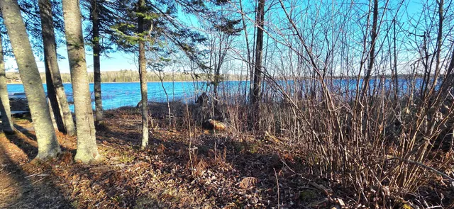 $170,000 | 30466 Serenity Trail, Effie, MN 56639