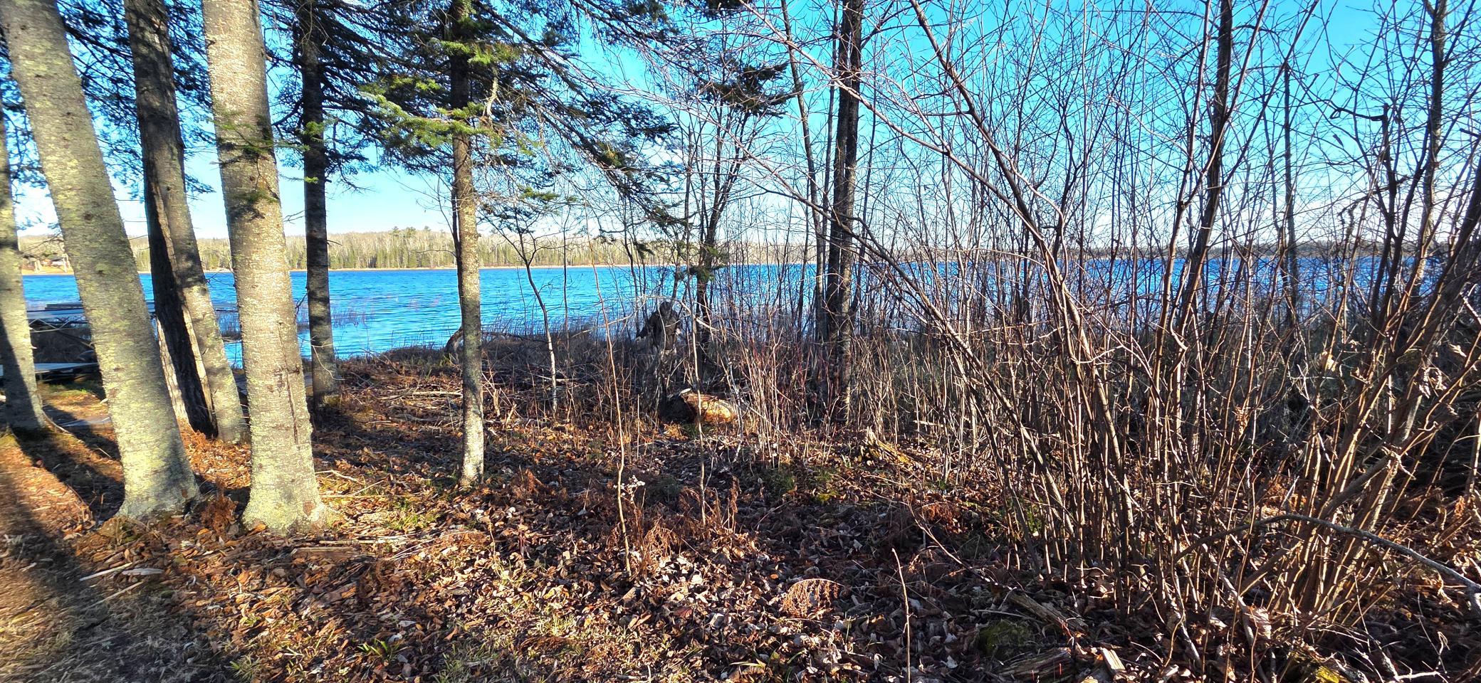 30466 Serenity Trail Effie, MN 56639 - Photo 23 of 26