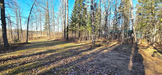 $170,000 | 30466 Serenity Trail, Effie, MN 56639