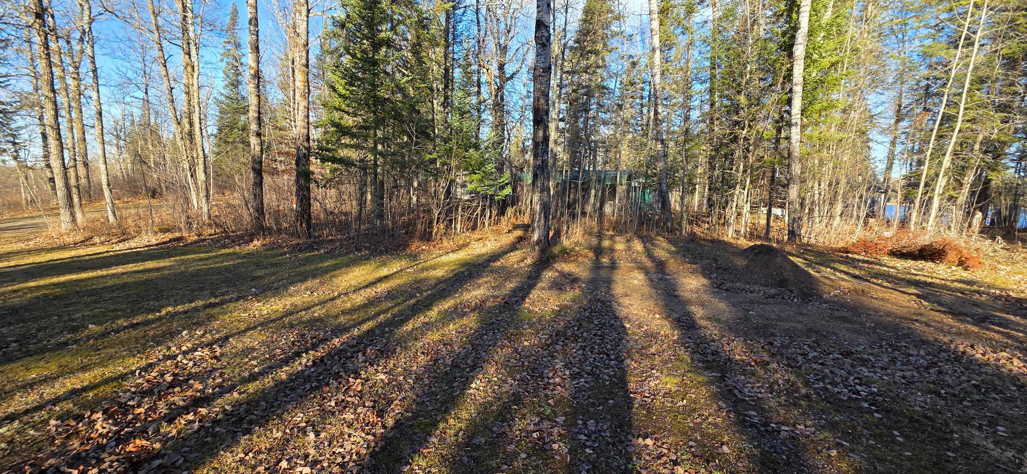 30466 Serenity Trail Effie, MN 56639 - Photo 25 of 26