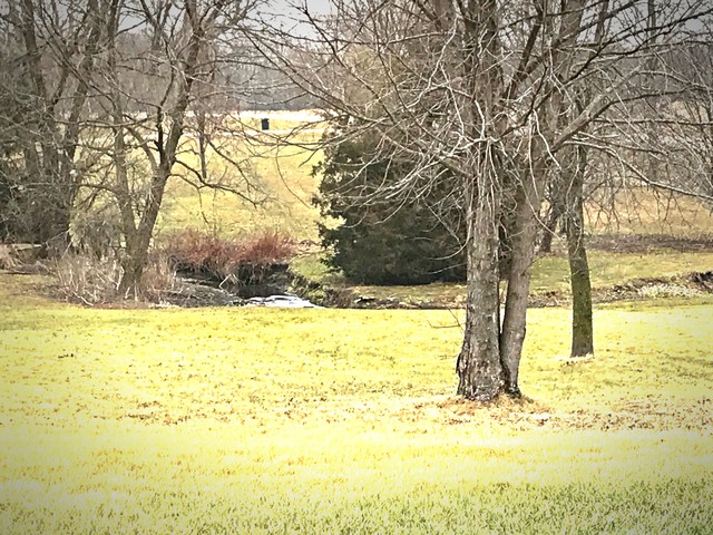 3557 East 1925th Road Ottawa, IL 61350 - Photo 5 of 20 a view of yard with swimming pool