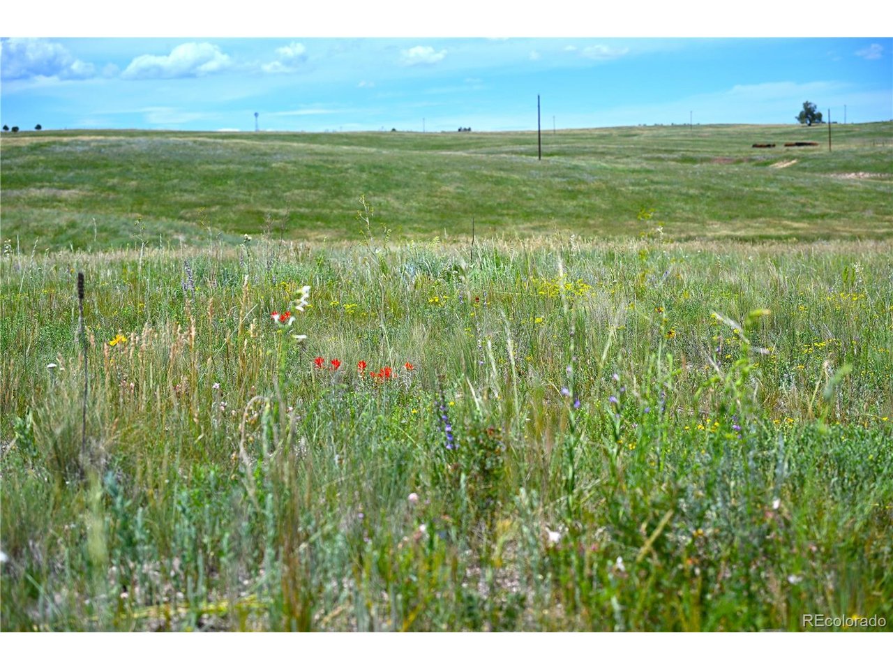 2 Steppler Road Colorado Springs, CO 80908 - Photo 13 of 48 a view of a field with an ocean view