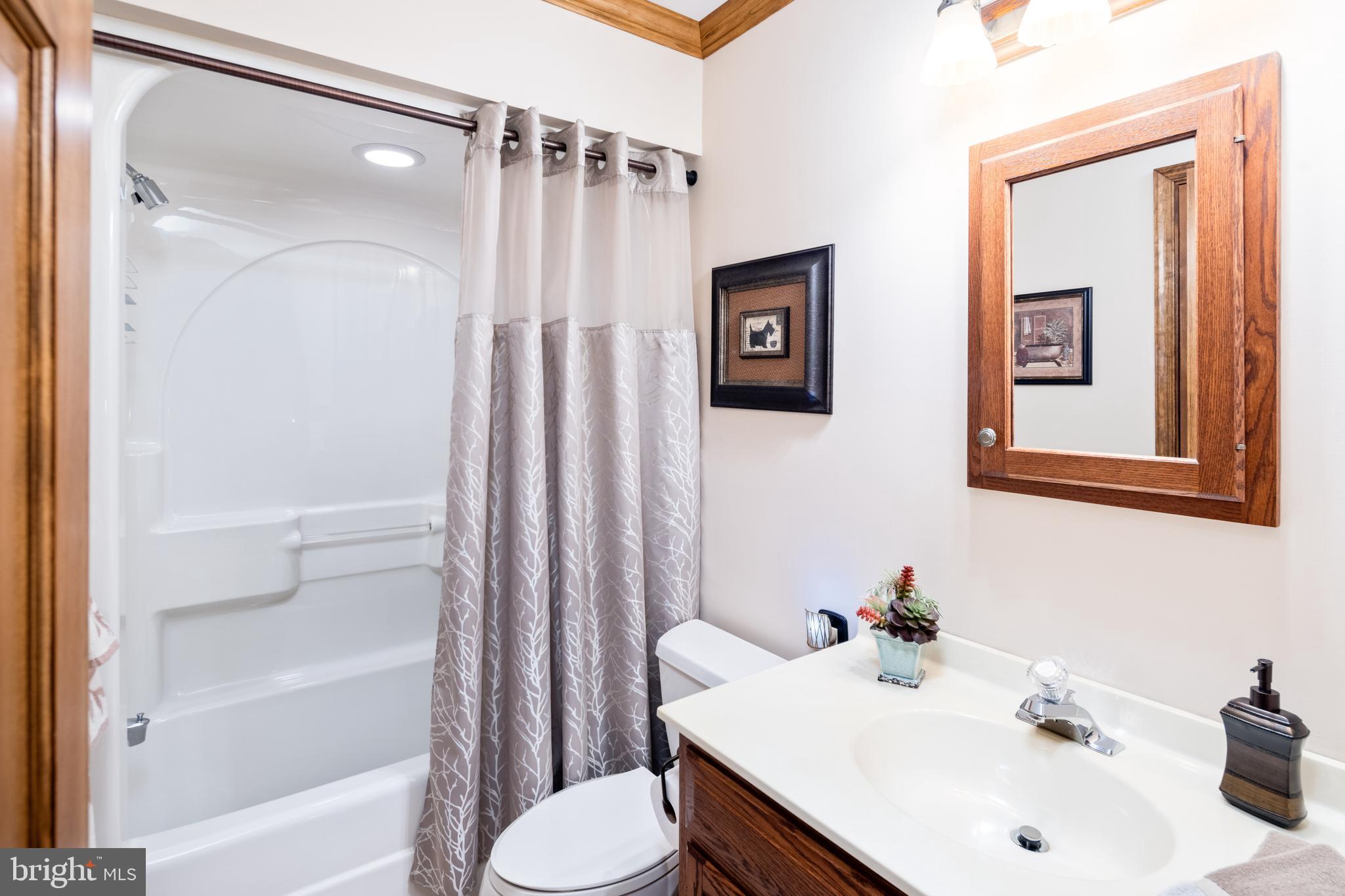 3556 Smith Road Furlong, PA 18925 - Photo 20 of 57 a bathroom with a sink toilet and shower
