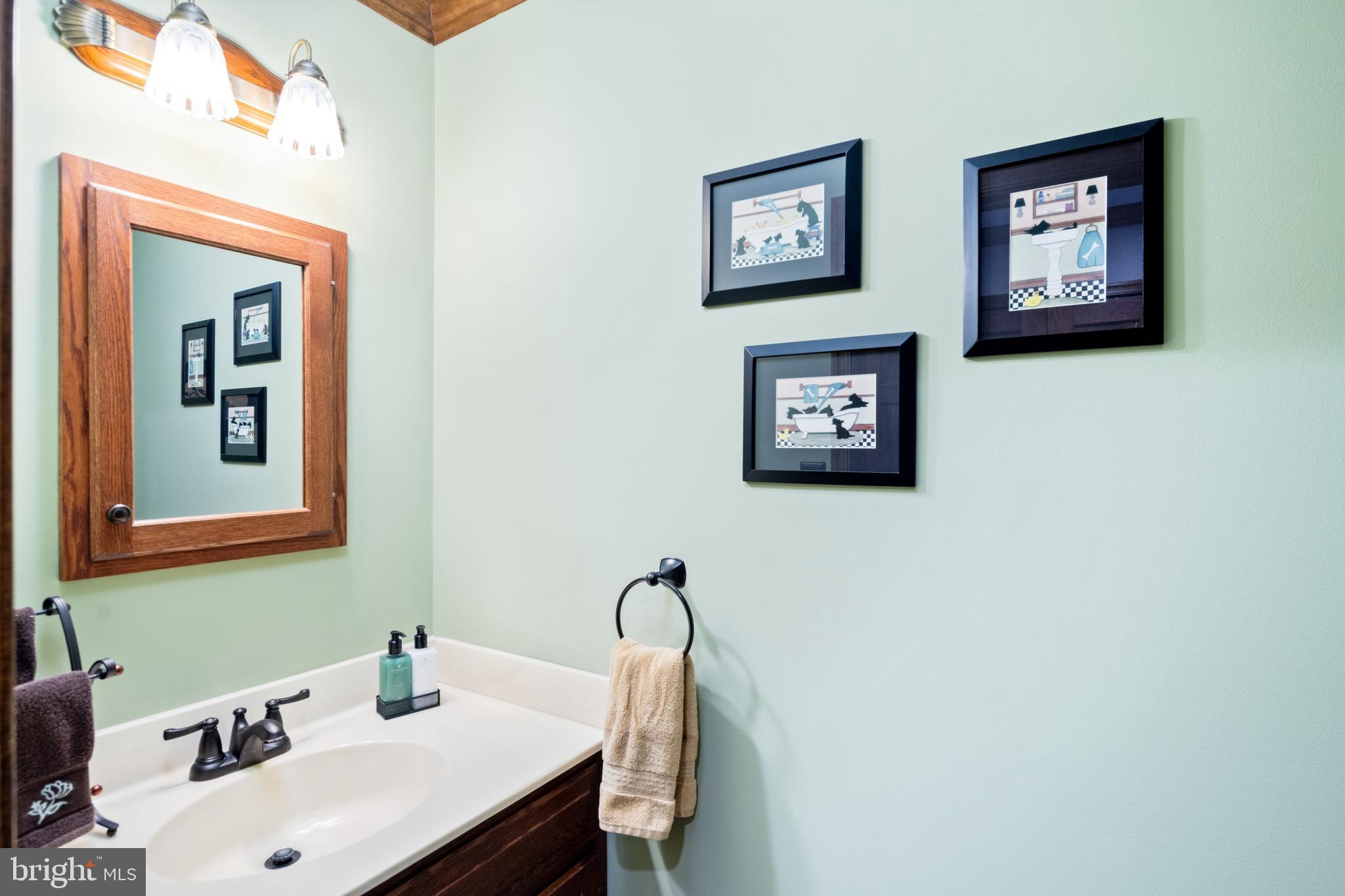 3556 Smith Road Furlong, PA 18925 - Photo 22 of 57 a bathroom with a sink and a mirror
