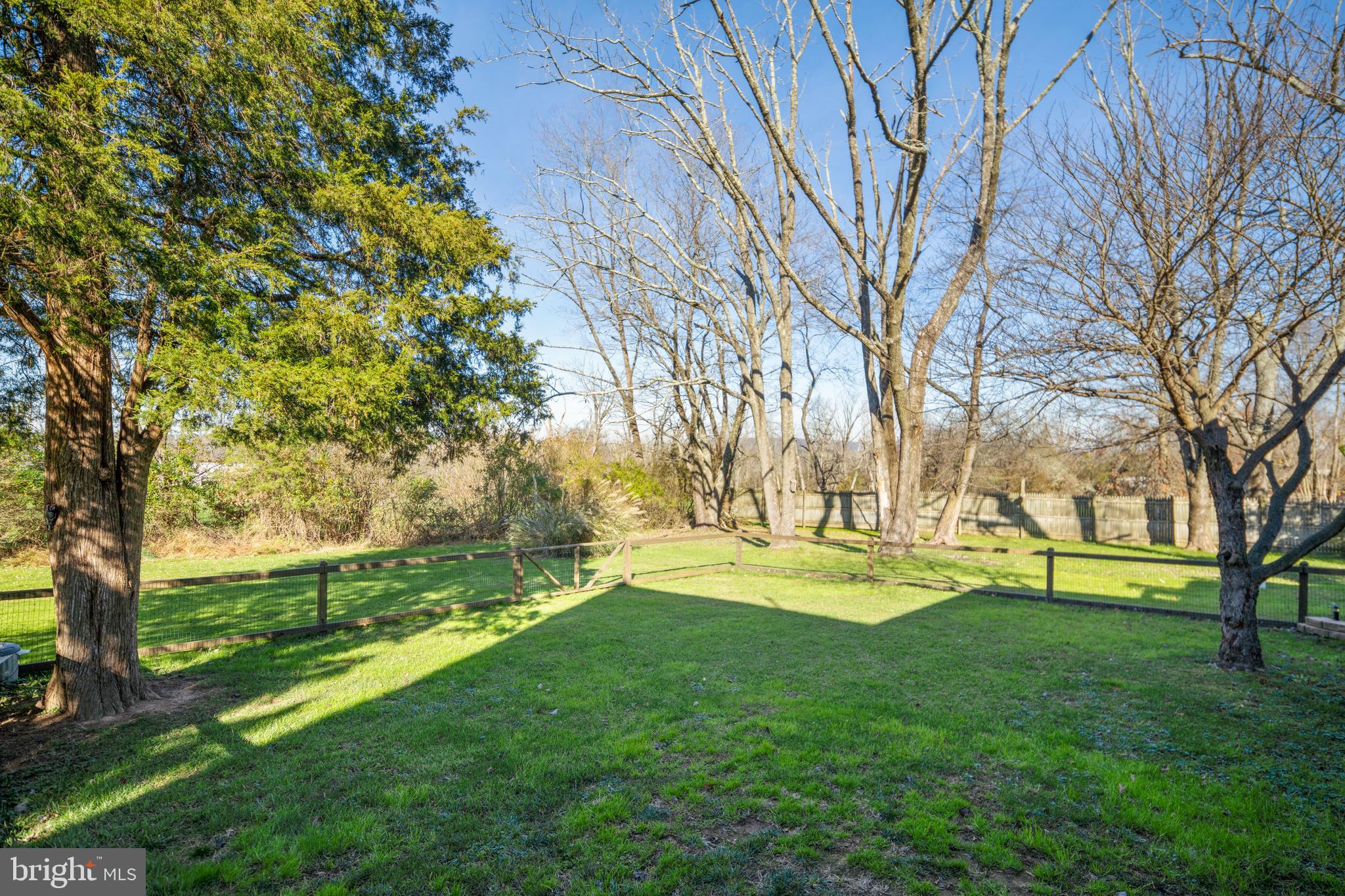 3556 Smith Road Furlong, PA 18925 - Photo 38 of 57 a view of a backyard with large trees