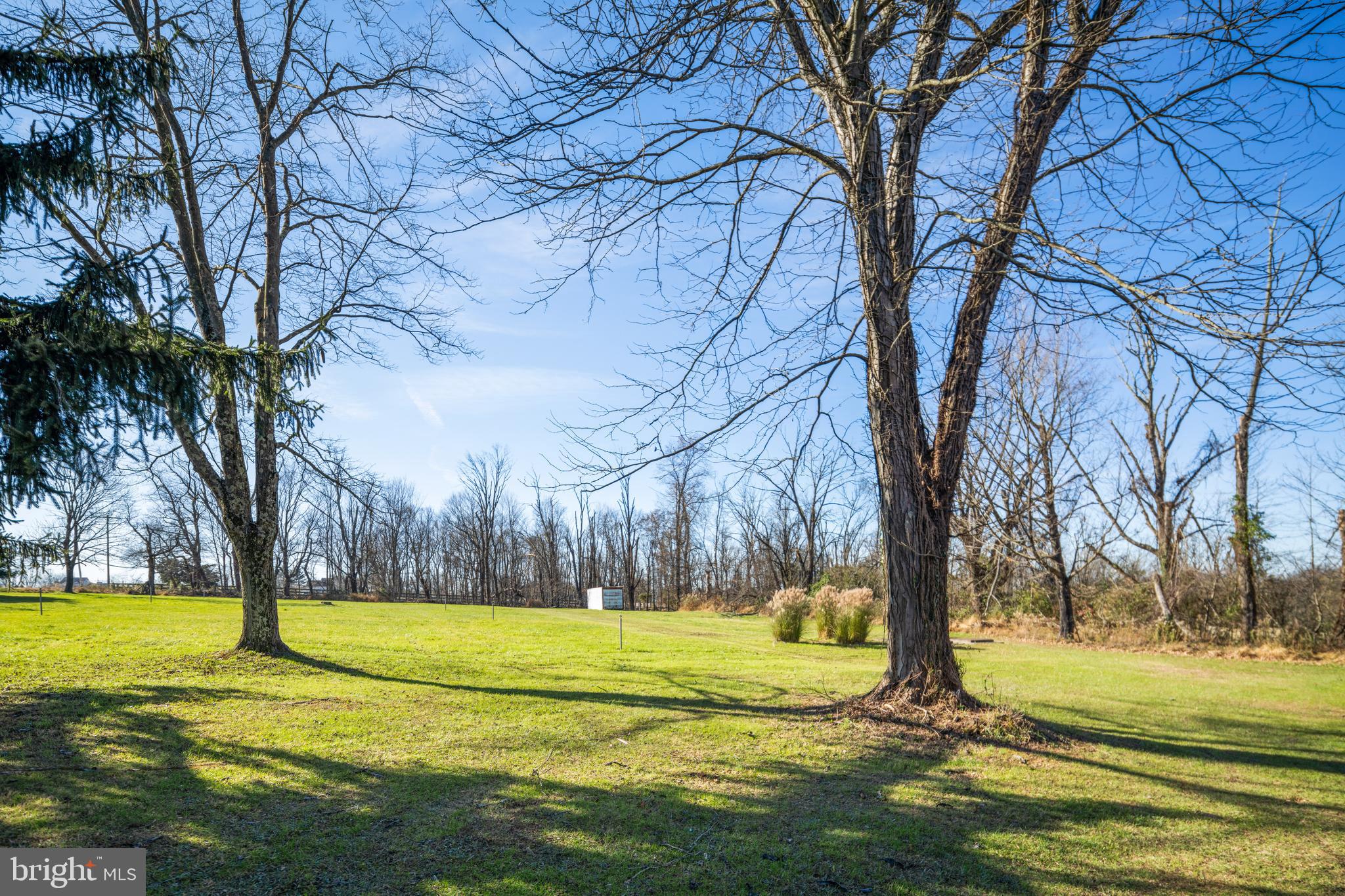 3556 Smith Road Furlong, PA 18925 - Photo 46 of 57 a view of a yard with trees